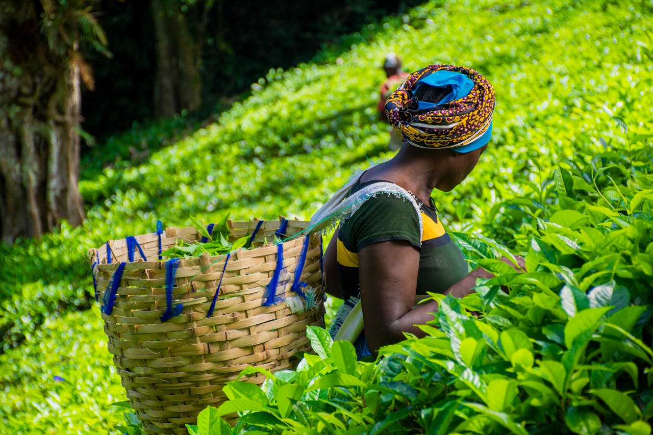 Sustainable Local Economic Development Course