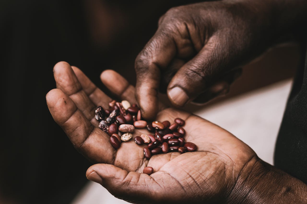 Monitoring and Evaluation for Food Security