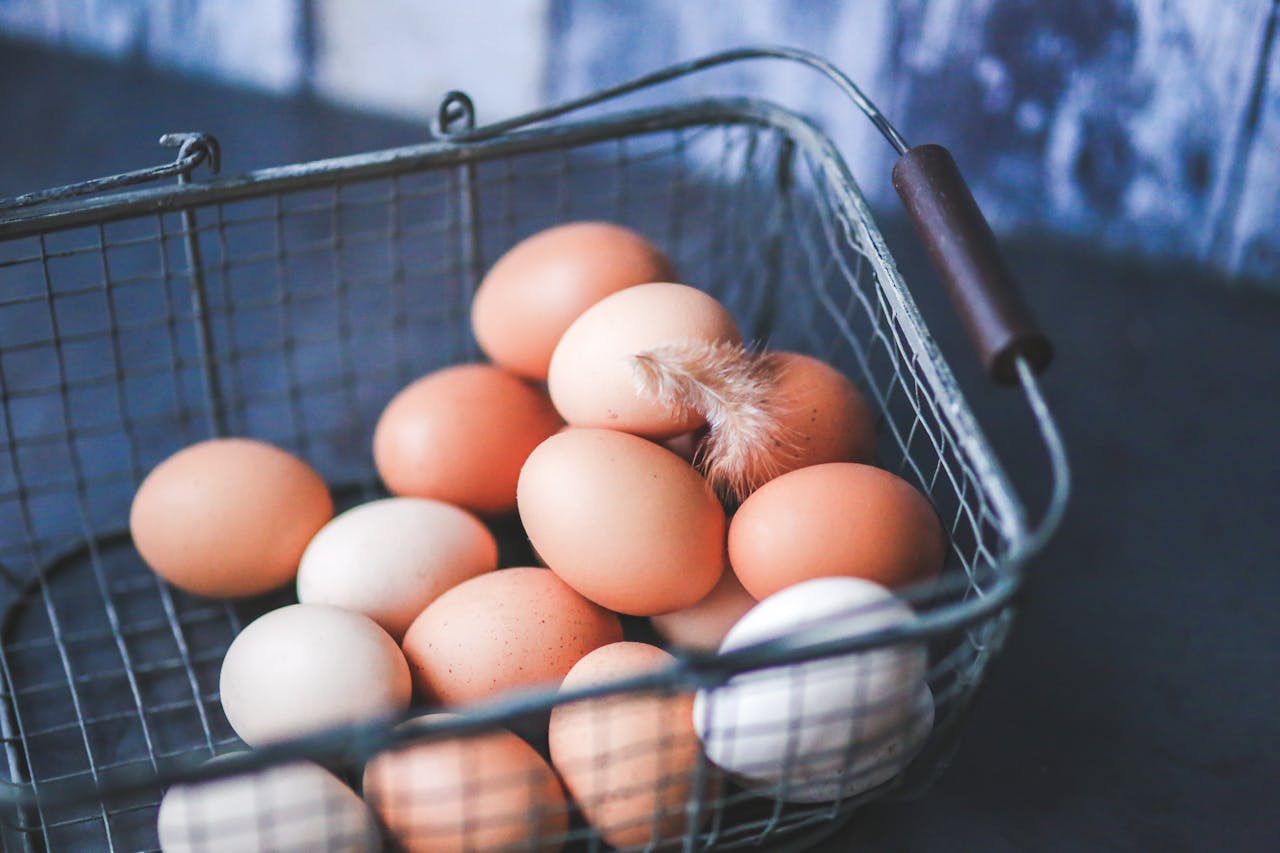 Training on Poultry Farming for Food Security