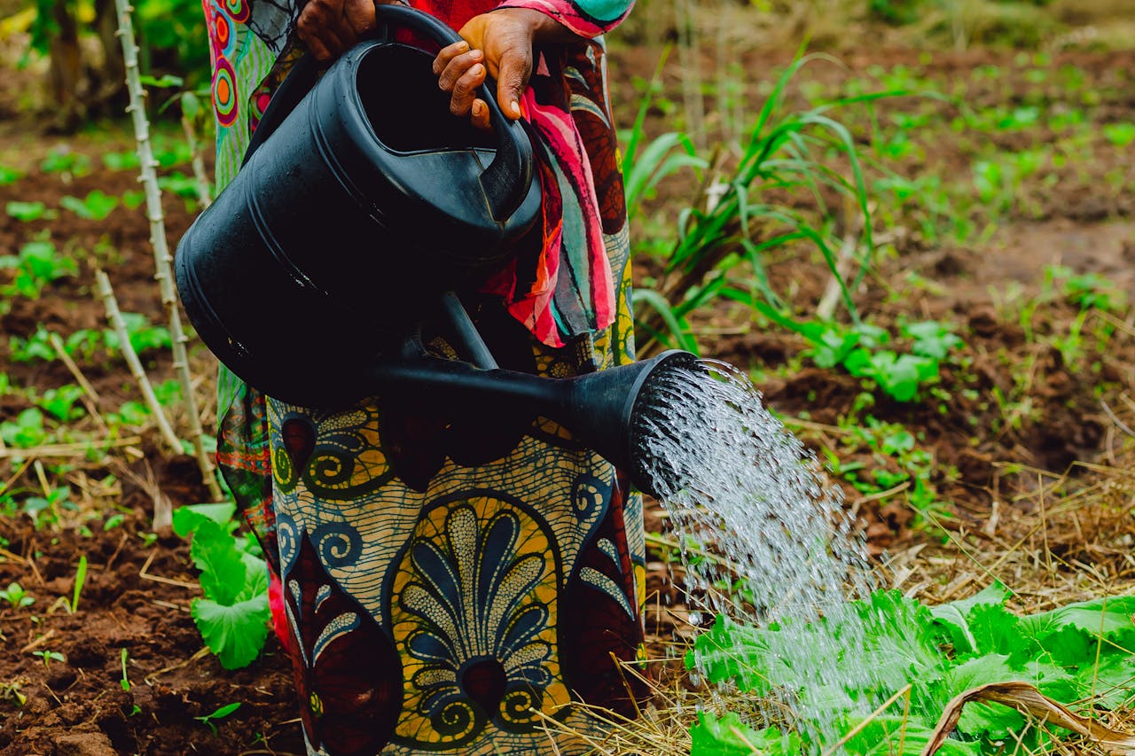 Urban Farming and Gardening