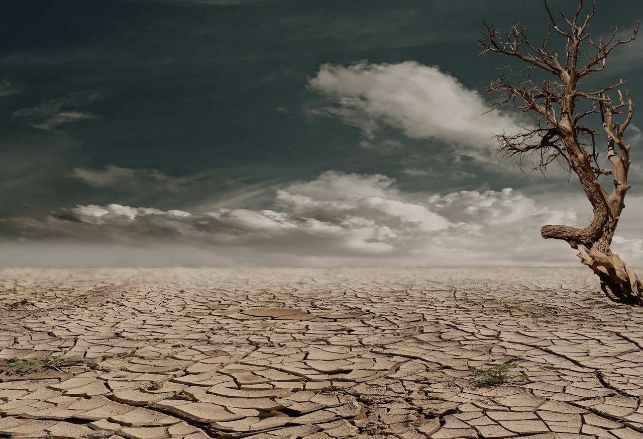 Climate Change Linkages with Food Security