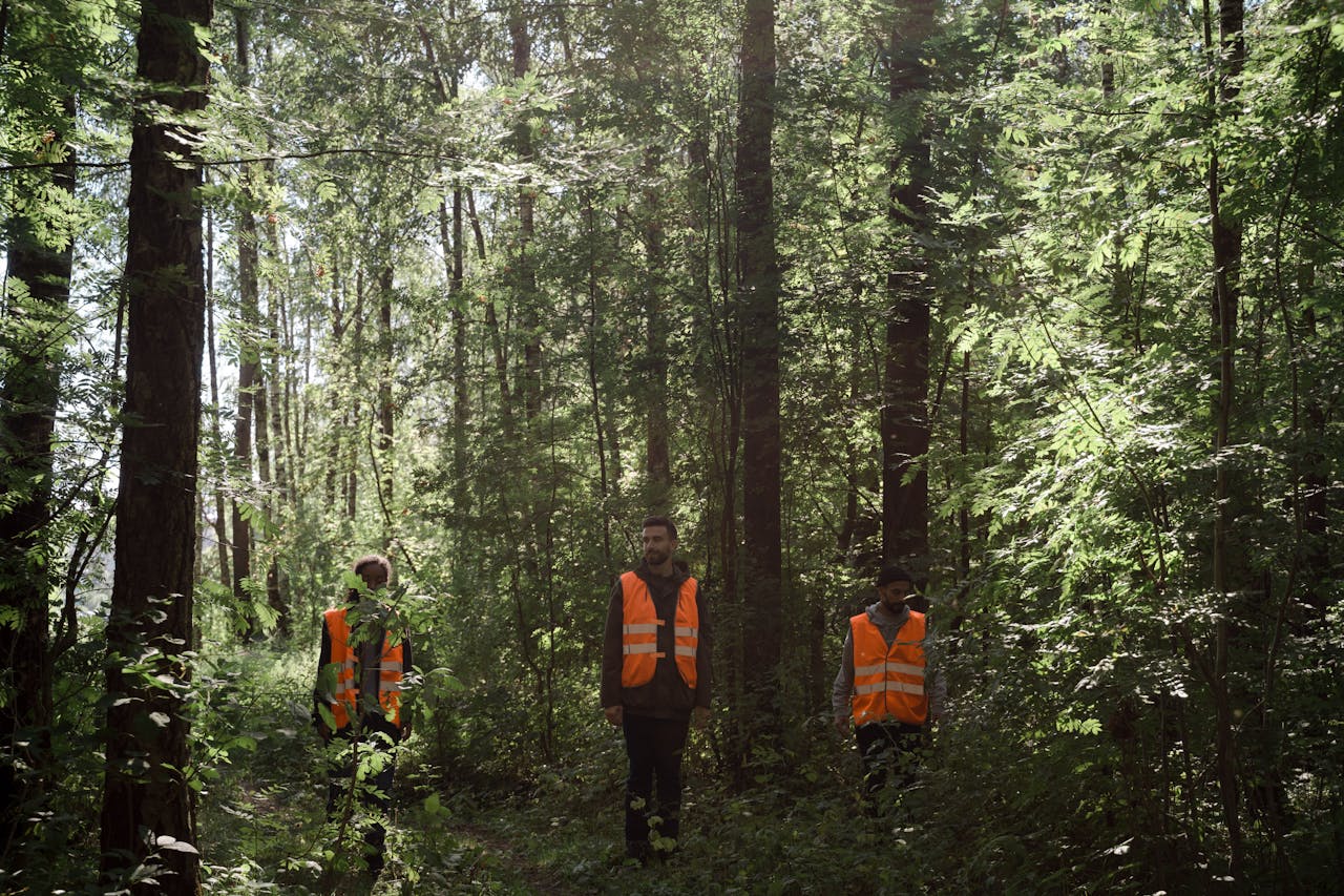 GIS and Remote Sensing for sustainable forest monitoring
