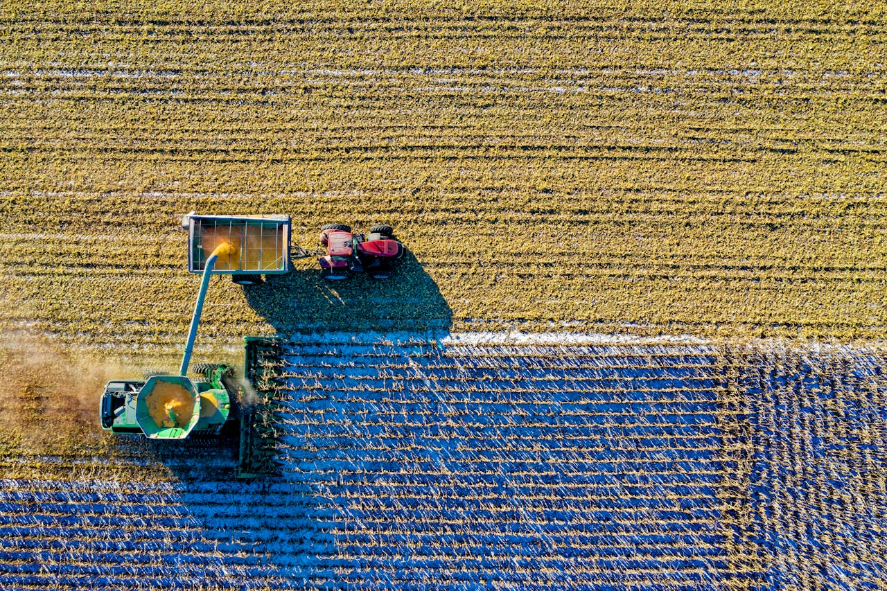 Establishing and Strengthening Farmer Organizations