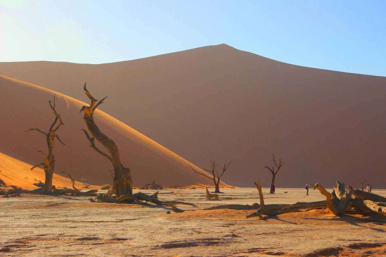 Climate Resilience And Food Security